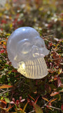 Epoxy Skull