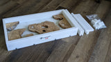 12" x 24" Reseal HDPE Form with Divider and Hold Down Bars