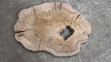 Olive Wood Cookie - OCC-01