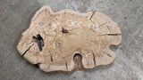 Olive Wood Cookie - OCC-03