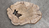 Olive Wood Cookie - OCC-03