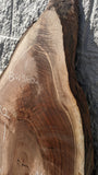 Black Walnut - BW3602