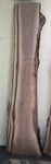 Black Walnut - BW328